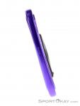 Black Diamond Nitron Straight Carabiner, , Purple, , , 0056-10304, 5637489577, , N1-16.jpg
