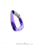 Black Diamond Nitron Straight Carabiner, , Purple, , , 0056-10304, 5637489577, , N5-15.jpg