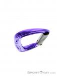 Black Diamond Nitron Straight Carabiner, , Purple, , , 0056-10304, 5637489577, , N5-20.jpg