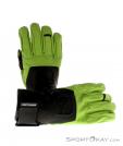 Ortovox Pro Leather Glove Handschuhe, Ortovox, Grün, , Herren,Damen,Unisex, 0016-10348, 5637494954, 4250875229471, N1-01.jpg