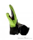 Ortovox Pro Leather Glove, Ortovox, Zelená, , Muži,Ženy,Unisex, 0016-10348, 5637494954, 4250875229471, N1-16.jpg