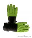 Ortovox Pro Leather Glove, Ortovox, Zelená, , Muži,Ženy,Unisex, 0016-10348, 5637494954, 4250875229471, N2-02.jpg