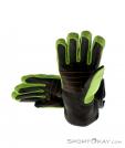 Ortovox Pro Leather Glove, Ortovox, Zelená, , Muži,Ženy,Unisex, 0016-10348, 5637494954, 4250875229471, N2-12.jpg