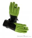 Ortovox Pro Leather Glove Guanti, Ortovox, Verde, , Uomo,Donna,Unisex, 0016-10348, 5637494954, 4250875229471, N3-03.jpg