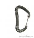 Mammut Bionic Evo Wire Carabiner, , Gray, , , 0014-10434, 5637500294, , N2-02.jpg