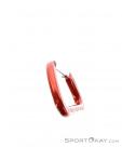 Austrialpin Accessory Carabiner, Austrialpin, Red, , , 0087-10003, 5637501607, 0, N5-15.jpg