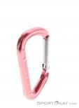 Austrialpin Accessory Carabiner, Austrialpin, Pink, , , 0087-10003, 5637501608, 0, N3-18.jpg