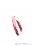 Austrialpin Accessory Carabiner, Austrialpin, Pink, , , 0087-10003, 5637501608, 0, N5-15.jpg