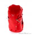 Salewa Ascent 25l Backpack, , Rouge, , Hommes,Femmes,Unisex, 0032-10316, 5637504091, , N2-02.jpg