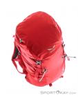 Salewa Ascent 28l Backpack, Salewa, Red, , Male,Female,Unisex, 0032-10315, 5637505379, 4053865308893, N4-19.jpg