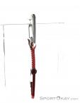 Wild Country Astro Quickdraw Expressschlinge 10cm, , Rot, , , 0243-10019, 5637509146, , N2-12.jpg