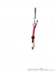 Wild Country Astro Quickdraw 10cm, , Red, , , 0243-10019, 5637509146, , N3-03.jpg
