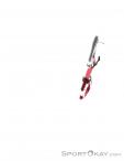 Wild Country Astro Quickdraw 10cm, Wild Country, Rouge, , , 0243-10019, 5637509146, 5033286111813, N4-04.jpg