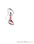 Wild Country Astro Quickdraw 10cm, , Red, , , 0243-10019, 5637509146, , N4-19.jpg