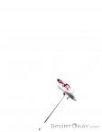 Wild Country Astro Quickdraw 10cm, Wild Country, Rojo, , , 0243-10019, 5637509146, 5033286111813, N5-10.jpg