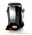 Dakine Heli Pro DLX 24l Backpack, , Gray, , Unisex, 0200-10116, 5637509436, , N2-12.jpg
