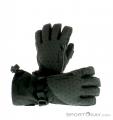Dakine Sequoia Womens Gloves Gore-Tex, Dakine, Gray, , Female, 0200-10134, 5637509602, 610934080292, N1-01.jpg