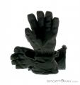Dakine Sequoia Womens Gloves Gore-Tex, Dakine, Gray, , Female, 0200-10134, 5637509602, 610934080292, N1-11.jpg