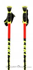 Leki WC Racing GS Ski Poles, Leki, Multicolored, , Male,Female,Unisex, 0012-10113, 5637512435, 4028173735327, N1-01.jpg