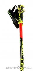 Leki WC Racing GS Ski Poles, , Multicolored, , Male,Female,Unisex, 0012-10113, 5637512435, , N1-16.jpg
