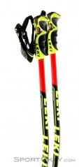 Leki WC Racing GS Ski Poles, , Multicolored, , Male,Female,Unisex, 0012-10113, 5637512435, , N2-17.jpg