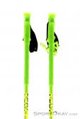 Leki Yellow Bird Freeride Ski Poles, , Verde, , Hombre,Mujer,Unisex, 0012-10123, 5637512511, , N1-01.jpg