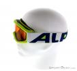 Alpina Carat DH Kids Ski Goggles, Alpina, Vert, , Garçons,Filles, 0027-10074, 5637513132, 0, N2-07.jpg