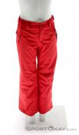 O'Neill Anvil Boys Ski Pants, , Red, , Boy, 0199-10125, 5637513624, , N2-02.jpg