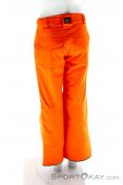 O'Neill Anvil Boys Ski Pants, O'Neill, Orange, , Boy, 0199-10125, 5637513636, 8718705801090, N2-12.jpg