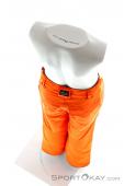 O'Neill Anvil Boys Ski Pants, , Orange, , Boy, 0199-10125, 5637513636, , N4-14.jpg