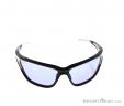 Alpina Eye-5 Tour VLM+ Sunglasses, Alpina, Black, , Unisex, 0027-10083, 5637513699, 4003692217868, N2-02.jpg