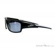 Alpina Testido P Sunglasses, Alpina, Black, , Unisex, 0027-10085, 5637513702, 4003692229984, N1-06.jpg