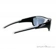 Alpina Testido P Sunglasses, Alpina, Noir, , Unisex, 0027-10085, 5637513702, 4003692229984, N1-16.jpg