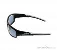 Alpina Testido P Sunglasses, Alpina, Noir, , Unisex, 0027-10085, 5637513702, 4003692229984, N2-07.jpg