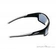Alpina Testido P Sunglasses, Alpina, Black, , Unisex, 0027-10085, 5637513702, 4003692229984, N2-17.jpg