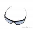 Alpina Testido P Sunglasses, Alpina, Noir, , Unisex, 0027-10085, 5637513702, 4003692229984, N3-03.jpg