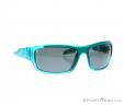 Alpina Testido P Sunglasses, Alpina, Turquoise, , Unisex, 0027-10085, 5637513703, 4003692229991, N1-01.jpg