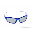 Alpina Callum VL Sunglasses, Alpina, Bleu, , Unisex, 0027-10086, 5637513707, 4003692214386, N2-02.jpg