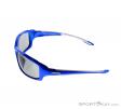 Alpina Callum VL Sunglasses, Alpina, Azul, , Unisex, 0027-10086, 5637513707, 4003692214386, N2-07.jpg