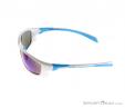 Alpina Fenno Sunglasses, , Blanc, , Unisex, 0027-10087, 5637513708, , N2-07.jpg