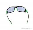 Alpina Fenno Sunglasses, , Noir, , Unisex, 0027-10087, 5637513709, , N2-12.jpg