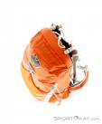 Osprey Talon 22l Backpack, , Orange, , Unisex, 0149-10050, 5637513843, , N4-04.jpg
