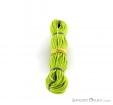 Tendon Master 7,8mm Climbing Rope 50m, , Green, , , 0139-10011, 5637516830, , N3-08.jpg