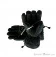 Zanier Heat GTX 2.0 Mens Ski Gloves Gore-Tex, Zanier, Black, , Male, 0121-10010, 5637520557, 9008541037098, N2-12.jpg