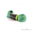 Edelrid Eagle Lite Pro Dry 9,5mm Climbing Rope 50m, , Green, , , 0084-10056, 5637522758, , N1-06.jpg