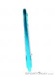 Edelrid Pure Straight Carabiner, Edelrid, Blue, , , 0084-10094, 5637524147, 4021574192829, N1-16.jpg