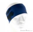 Adidas Terrex Headband Gra Mens Headband, adidas, Blue, , Male, 0002-11089, 5637526338, 4058023217208, N2-02.jpg