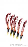 Climbing Technology Fly Weight Pro DY 5pcs. Quickdraw Set, , Rouge, , , 0094-10025, 5637527669, , N4-14.jpg