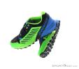 Dynafit Alpine Pro Mens Trail Running Shoes, Dynafit, Bleu, , Hommes, 0015-10430, 5637528844, 4053865716452, N3-08.jpg
