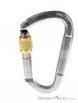 AustriAlpin D-Asym Steel Locking Carabiner, Austrialpin, Gray, , , 0087-10060, 5637528889, 0, N1-11.jpg